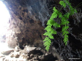 Grotta monte Nero delle Concazze